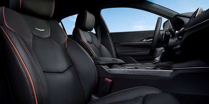 CT4 showcasing its interior and back storage view